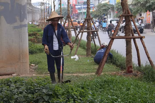 Công nhân chật vật cắt cỏ dại trên phố.