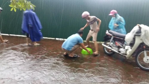 Nhiều người dân tận dụng cơ hội ra vỉa hè bắt cá.