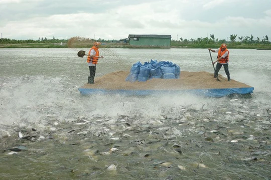 Ảnh minh họa. Nguồn Internet