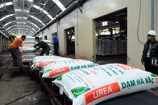 Dự án nhà máy Đạm Ninh Bình thuộc Công ty TNHH MTV Đạm Ninh Bình đang gây xôn xao dư luận sau khi công khai những con số lỗ triền miên và to như đá tảng.