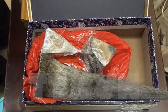 Tang vật bị bắt giữ tại sân bay Tân Sơn Nhất. (Ảnh: TTXVN phát)