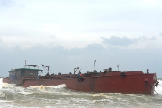 Ảnh minh họa. Nguồn Internet