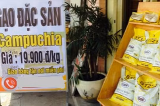 Ảnh minh họa. Nguồn Internet