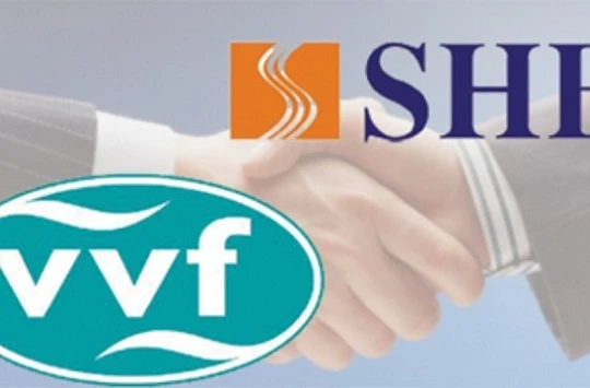 VVF đã chính thức sát nhập vào SHB - (Ảnh minh họa)