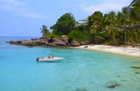 Ảnh minh họa. Nguồn Internet