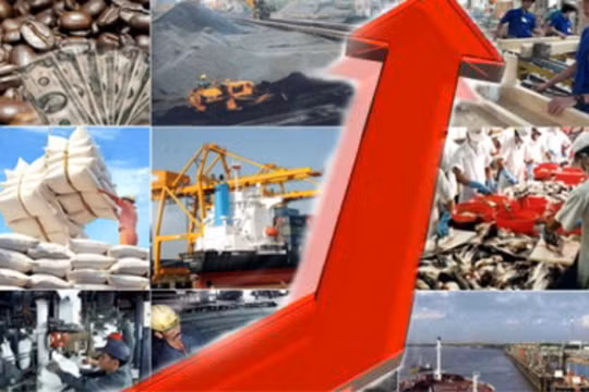 Ảnh minh họa. Nguồn Internet