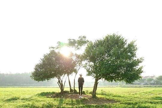 Bức ảnh chụp ngược sáng trên cánh đồng cỏ trải dài là tác phẩm được nhiều người yêu thích trong album chụp bằng Xperia XZ của Đinh Hằng.