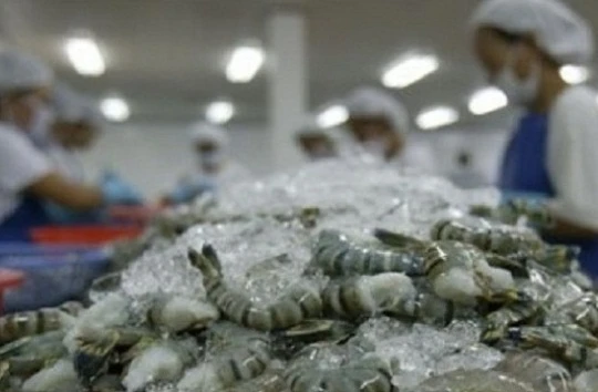 DOC vừa tăng mức thuế chống bán phá giá tôm Việt Nam lên 4,78% - (Ảnh minh họa)
