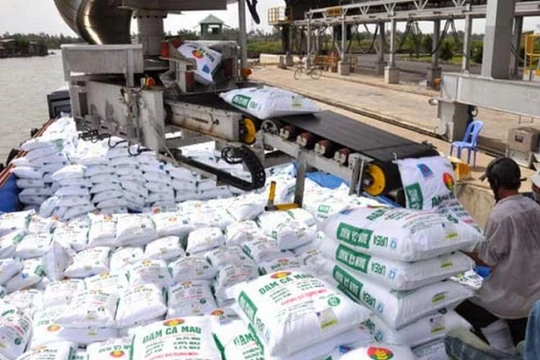 Ảnh minh họa. Nguồn Internet