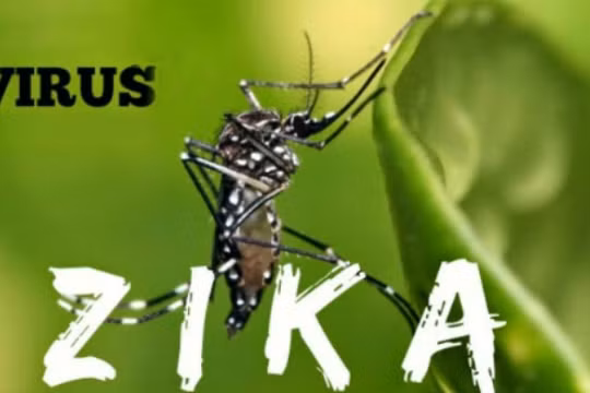 Bình Dương tăng cường quản lý, giám sát và theo dõi chặt chẽ tình hình diễn biến dịch bệnh do virus Zika trên địa bàn tỉnh.