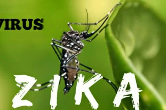 Bình Dương tăng cường quản lý, giám sát và theo dõi chặt chẽ tình hình diễn biến dịch bệnh do virus Zika trên địa bàn tỉnh.