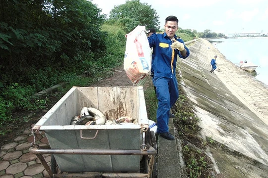 Công nhân Công ty môi trường đô thị đang thu gom cá chết đi tiêu hủy.