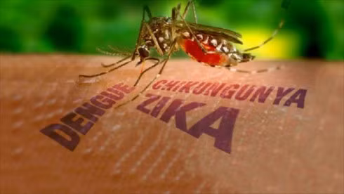 Ca nhiễm bệnh mới được phát hiện dương tính với Zika là bệnh nhân cư trú tại Quận 5.