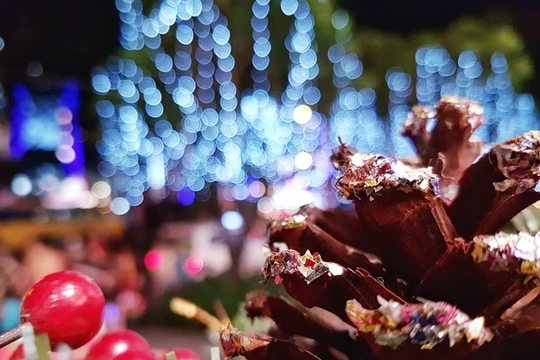 Với Galaxy S7 edge, người dùng không cần đến máy ảnh chuyên nghiệp vẫn có thể tạo ra những bức ảnh ấn tượng trong mùa lễ hội cuối năm chỉ với một nút bấm.