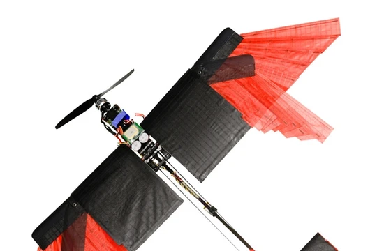 Loại máy bay này được lấy cảm hứng từ loài chim.