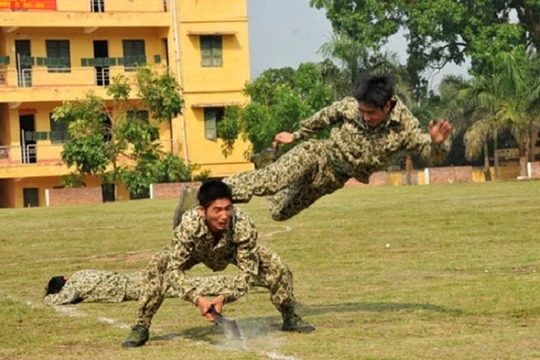 Từ những bài quyền truyền thống và thực tiễn huấn luyện chiến đấu, cán bộ, chiến sĩ đặc công đã nghiên cứu, phát triển các bài võ tổng hợp để vận dụng vào huấn luyện và chiến đấu.