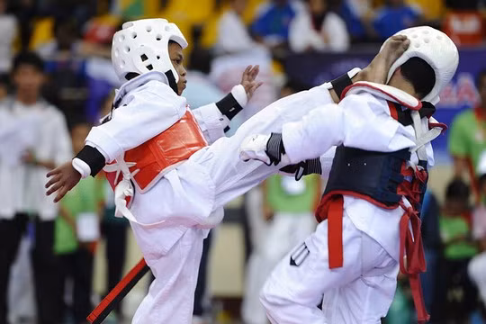 Video: Bấn loạn với đội võ sĩ nhí Taekwondo siêu đáng yêu