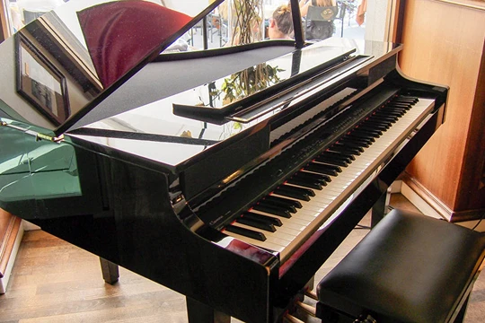 Video: Nữ nghệ sĩ ngực khủng chơi piano làm dân mạng phát sốt