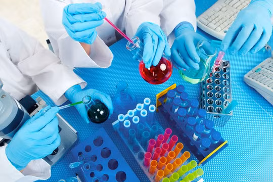 Nhật Bản nuôi cấy gan mini