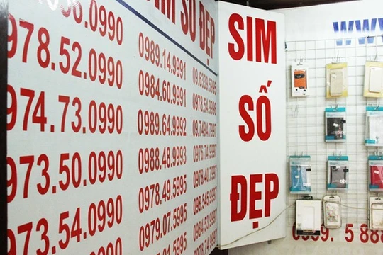 Sim 'siêu đẹp' 9 con 8 sẽ được đấu giá