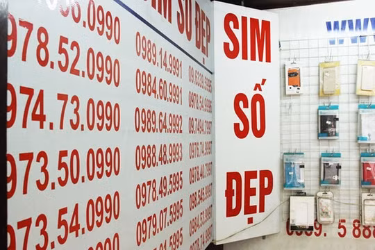 Sim 'siêu đẹp' 9 con 8 sẽ được đấu giá