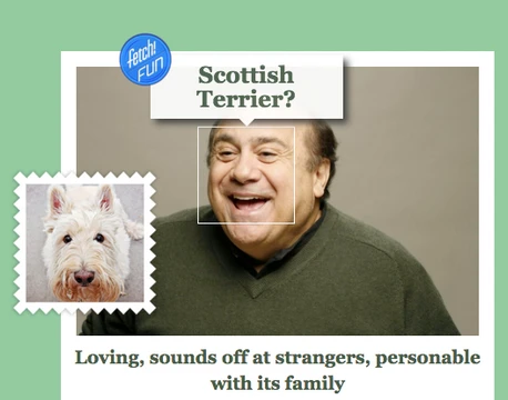 'Cười rơi hàm' với ứng dụng “Bạn là loài chó nào?“