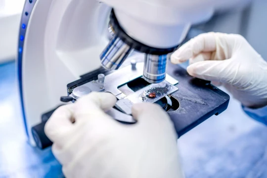 Bạc chống ung thư?