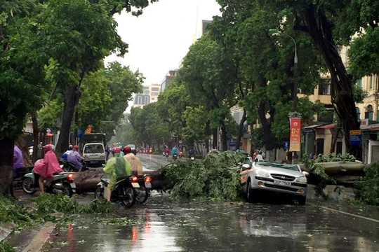 Cơn bão số 1 vừa quét qua tuần trước đã để lại nhiều thiệt hại nặng nề.