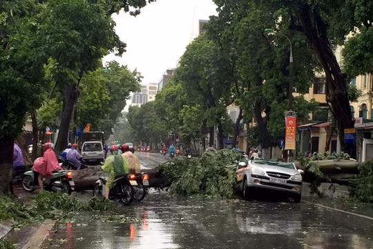 Cơn bão số 1 vừa quét qua tuần trước đã để lại nhiều thiệt hại nặng nề.