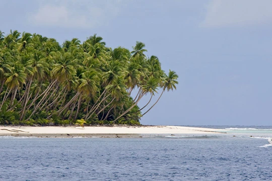 5 hòn đảo ở Thái Bình Dương bỗng nhiên biến mất