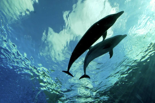 Phát hiện đại dương ngầm khổng lồ 2,7 tỷ năm tuổi