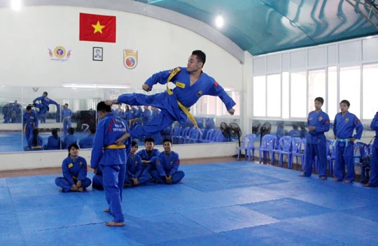 Võ đường Vovinam được mở ngay giữa thủ đô nước Pháp hoa lệ (ảnh minh hoạ)