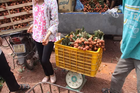 (Hình ảnh có tính chất minh họa)