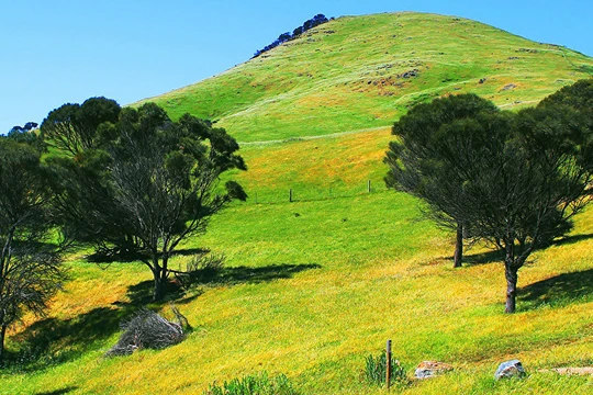 Australia xuất khẩu không khí cho Trung Quốc