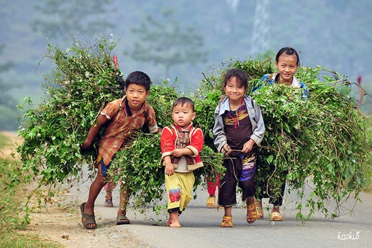 Video: Rớt nước mắt trước bữa ăn của trẻ vùng cao