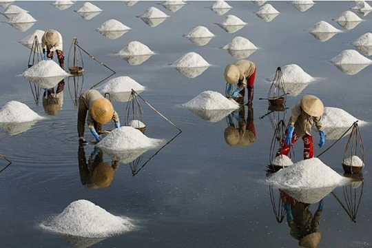 Hình ảnh khá quyến rũ bởi vẻ đẹp đặc trưng khác lạ của nó giữa thiên nhiên rộng lớn.