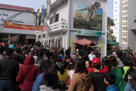 Bảo tàng Thiên nhiên quá tải vì dân đến xem cụ Rùa