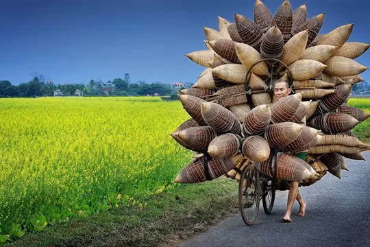 Người đàn ông đang chở những chiếc đó/giỏ tre đi bán ở Hưng Yên, Việt Nam của tác giả Lý Hoàng Long. Ảnh: TPOTY/Ly Hoang Long