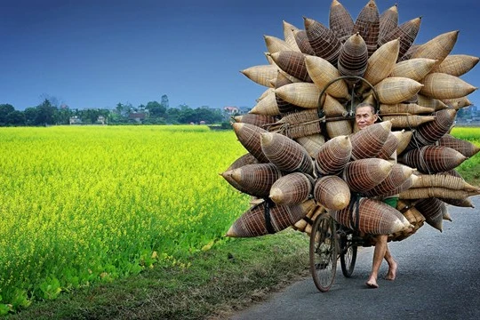 Người đàn ông đang chở những chiếc đó/giỏ tre đi bán ở Hưng Yên, Việt Nam của tác giả Lý Hoàng Long. Ảnh: TPOTY/Ly Hoang Long
