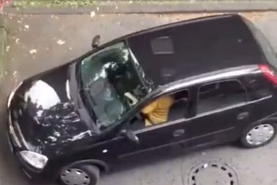 Nhân vật chính trong clip. (Nguồn: Spotted Yorkshire)