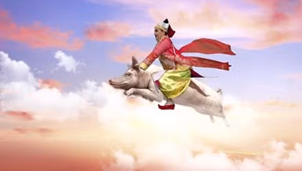 Hình ảnh Vân Dung cưỡi heo lên chầu trời được cô chia sẻ trên Fanpage cá nhân.