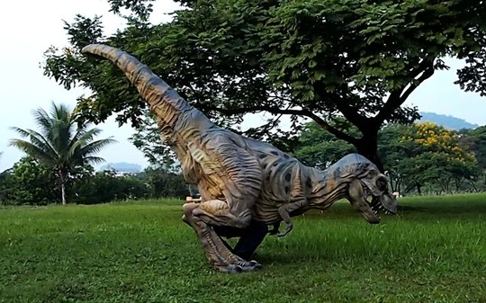 Video: Khủng long bạo chúa nhảy nhót đầy kích động