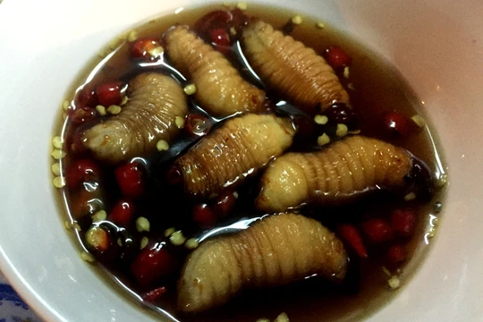 Đuông dừa có lẽ là món mang lại nhiều cảm xúc nhất cho cả người ăn lẫn người chứng kiến. Đuông dừa là côn trùng sống trong thân cây dừa, trông như con dòi khổng lồ, toàn thân luôn uốn lượn. Tại Sài Gòn, đuông dừa được xem là đặc sản bởi không phải khi nào