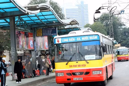 Các xe cho hai tuyến này là loại xe 30 chỗ.