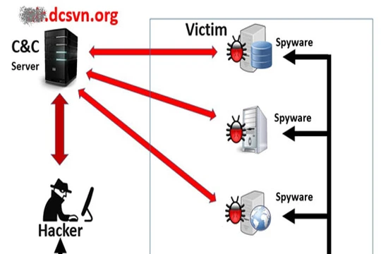 Sơ đồ tấn công của mã độc đã được cài vào hệ thống của Vietnam Airlines (Ảnh Bkav cung cấp)