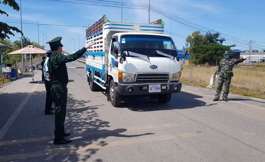Lực lượng chức năng kiểm soát cửa khẩu An Giang sau khi có nhiều ca nhiễm COVID-19 nhập cảnh trái phép bằng cách đi xe tải qua biên giới (Ảnh: Bửu Đấu)