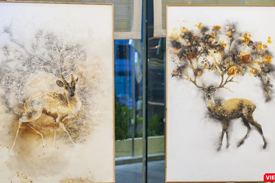 Tác phẩm của Trung Nghĩa với chủ đề thiên nhiên, môi trường có sức cuốn hút đặc biệt 