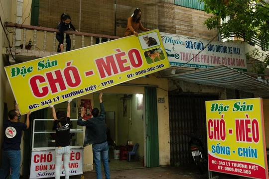 Tổ chức FOUR PAWS đóng cửa nhà hàng thịt mèo, giải cứu nhiều động vật (Ảnh: Thái Bình)