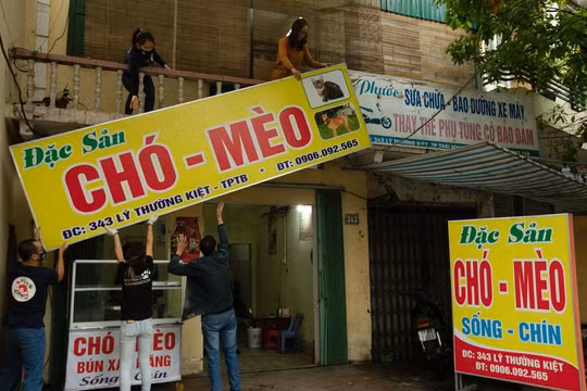 Tổ chức FOUR PAWS đóng cửa nhà hàng thịt mèo, giải cứu nhiều động vật (Ảnh: Thái Bình)