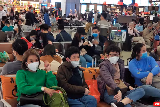 TP.HCM đã làm gì để chống ùn tắc hơn 1.000 người nhập cảnh tại sân bay khi triển khai lấy mẫu xét nghiệm tại chỗ (Ảnh: Hòa Bình) 